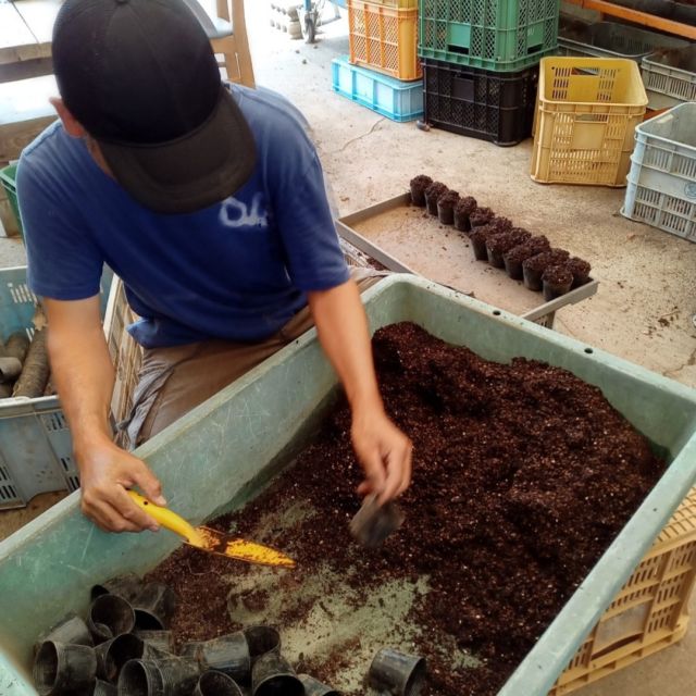 今日はブロッコリーの種植え♪ ポットに土を入れて穴をあけ、その中に種を入れていくという地道な作業。  2月くらいに収穫できる予定です。 #山口農園　#綾町